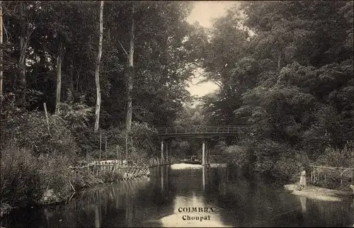 Ak Coimbra Portugal, Choupal National Forest, Brücke