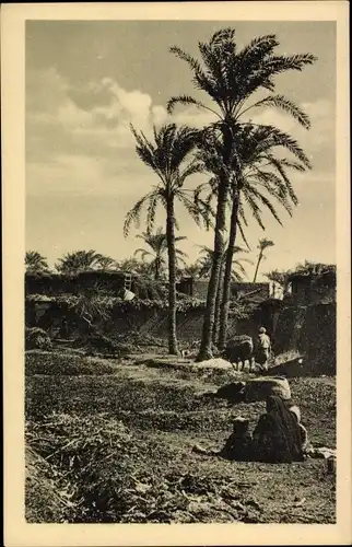 Ak Cairo Kairo Ägypten, Arabian landscape