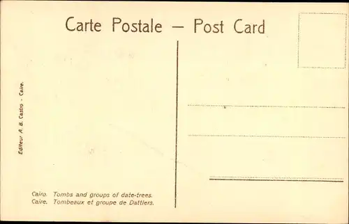 Ak Cairo Kairo Ägypten, Tombs and groups of date-trees
