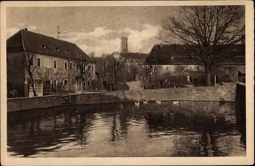 Ak Droyßig, Blick vom Markt auf das Schloss, Schwäne