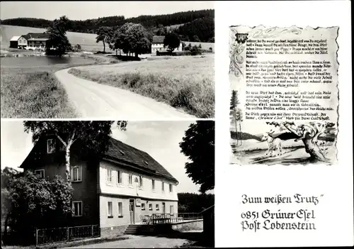 Ak Schönbrunn Ebersdorf in Thüringen, Grüner Esel, Gasthaus Zum weißen Trutz