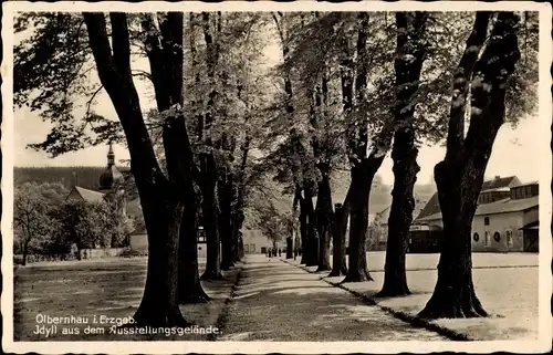 Ak Olbernhau im Erzgebirge Sachsen, Partie im Ausstellungsgelände, Allee, Kirche