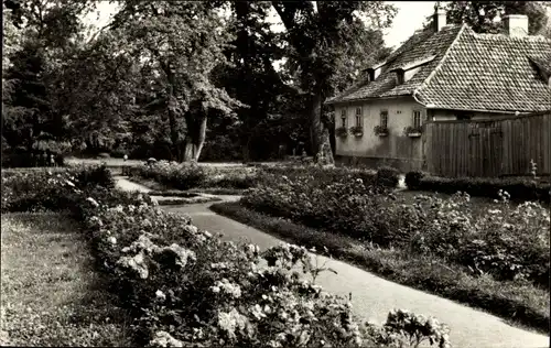 Ak Arnstadt in Thüringen, Stadtpark