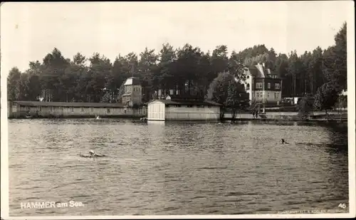 Ak Hamr na Jezeře Hammer am See Region Reichenberg, Seepartie