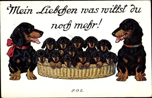 Künstler Ak Engelhard, P.O.E., Mein Liebchen was willst du noch mehr, Dackel, Welpen, Hundefamilie