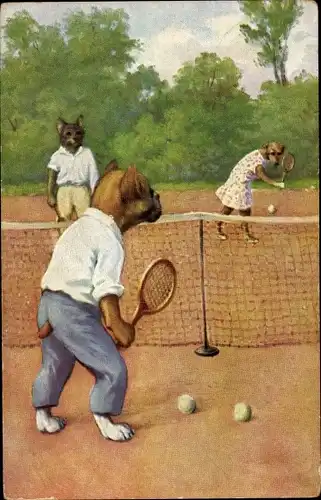 Künstler Ak Vermenschlichte Hunde auf dem Tennisplatz