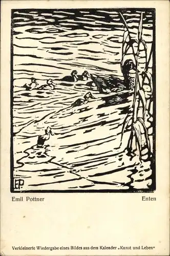Künstler Ak Pottner, E., Enten