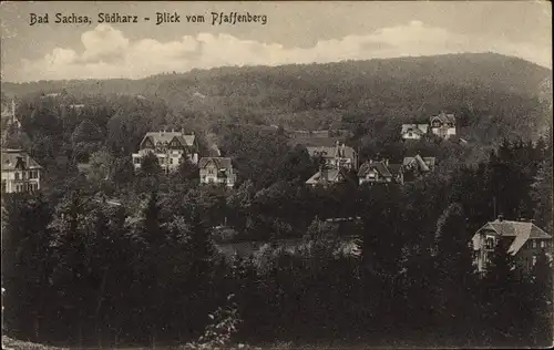 Ak Bad Sachsa im Harz, Blick vom Pfaffenberg