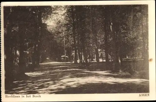 Ak Assen Drenthe Niederlande, Hoofdlaan in het Bosch