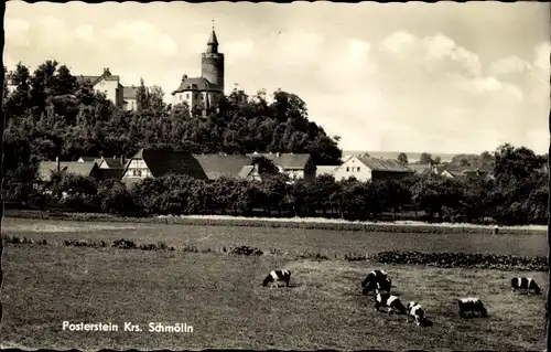 Ak Posterstein im Altenburger Land, Burg Posterstein, Ortsansicht, weidende Kühe