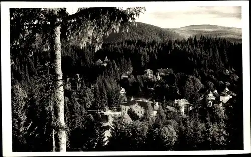 Ak Borsec Rumänien, Teilansicht