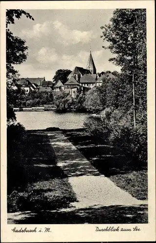 Ak Gadebusch in Mecklenburg, Duchblick zum See und auf den Ort