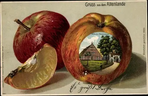 Apfel Litho Altes Land Niedersachsen, Altländer Bauernhaus