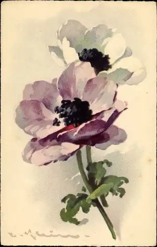 Künstler Litho Klein, Catharina, Blumen