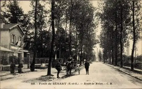Ak Forêt de Sénart Essonne, Route de Melun