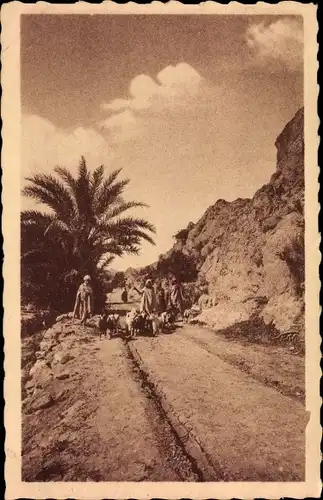 Ak Bou Saada Algerien, Chemin du Moulin Bisquer