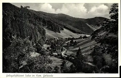 Ak Sieber Herzberg am Harz, Goldemke, Panorama