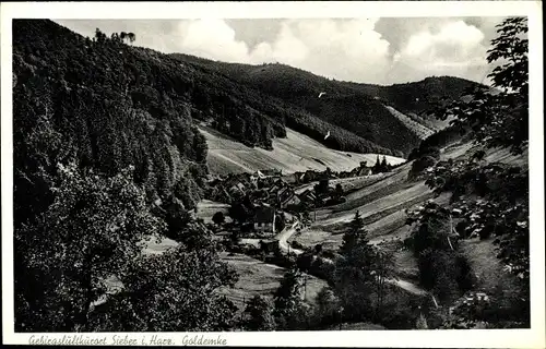 Ak Sieber Herzberg am Harz, Goldemke, Panorama