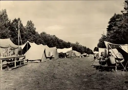 Ak Putbus auf der Insel Rügen, Zeltplatz, Zelte