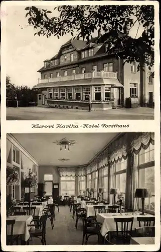 Ak Hartha in Sachsen, Hotel Forsthaus, Aussen- und Innenansicht