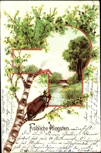 Litho Glückwunsch Pfingsten, Maikäfer, Landschaft, Maikäfer krabbelt auf Baum