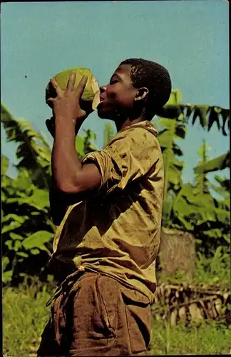 Ak Guadeloupe, Lait de Coco, La Meilleure Boisson