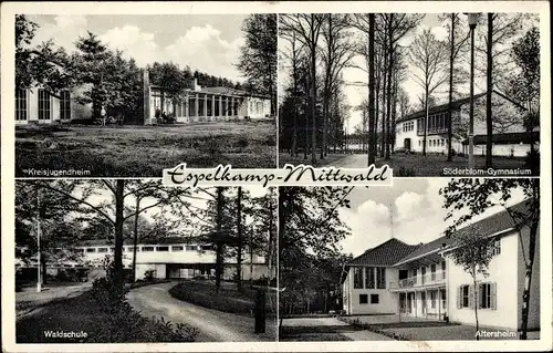 Ak Mittwald Espelkamp in Ostwestfalen Lippe, Waldschule, Altersheim, Gymnasium, Kreisjugendheim