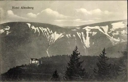 Ak Neubois Gereuth Elsass Bas Rhin, Hotel Altenberg