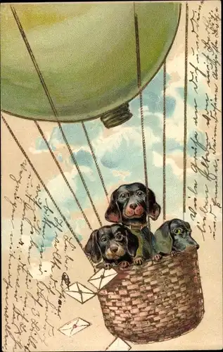 Litho Drei Dackel in einem Ballon, Briefe