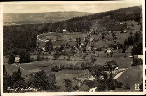 Ak Borowice Baberhäuser Riesengebirge Schlesien, Max Heinzelstein