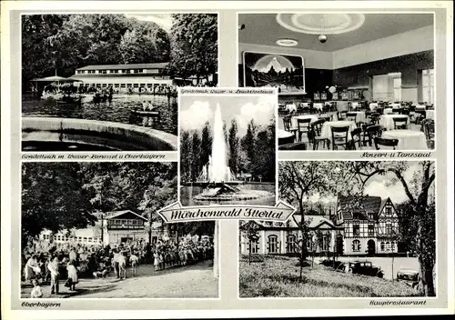 Ak Wald im Rheinl. Solingen, Ittertal Weck, Märchenwald, Gondelteich, Fontäne, Restaurant Oberbayern