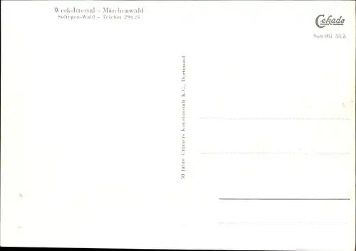 Ak Wald im Rheinl. Solingen, Ittertal Weck, Märchenwald, Gondelteich, Fontäne, Restaurant Oberbayern