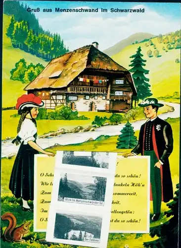 Leporello Ak Schwarzwald, Feldsee, Menzenschwand, Panorama