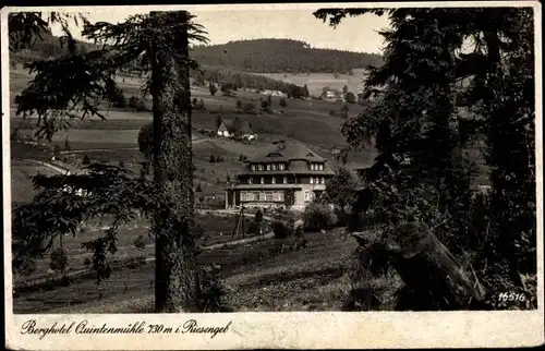 Ak Rehorn Rýchory Reg. Königgrätz, Berghotel Quintenmühle, Riesengebirge