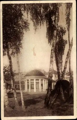 Ak Františkovy Lázně Franzensbad Region Karlsbad, Birkengruppe mit Franzensquelle