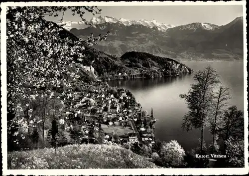 Ak Vitznau Kanton Luzern, Vierwaldstättersee
