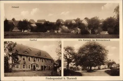 Ak Fördergersdorf Tharandt im Erzgebirge, Gasthof, Alte Kastanie im Blütenschmuck