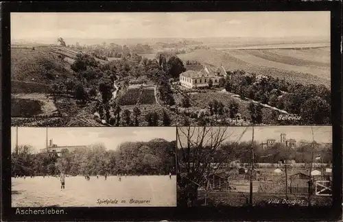 Ak Aschersleben im Salzlandkreis, Bellevue, Spielplatz, Brauerei, Villa Douglas