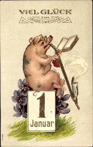 Präge Litho Glückwunsch Neujahr, Schwein mit Stabpfeife, Kalender, 1 Januar