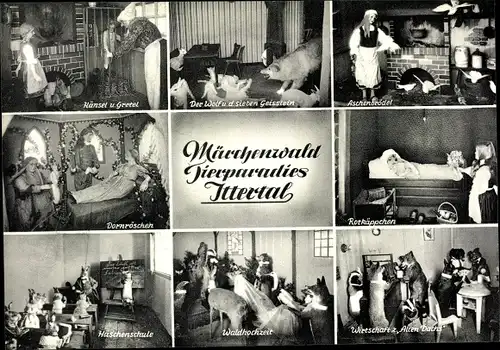 Ak Wald im Rheinland Solingen, Ittertal, Weck, Märchenwald, Tierparadies, Dornröschen, Aschenbrödel