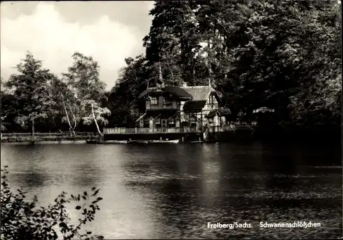 Ak Freiberg in Sachsen, Schwanenschlößchen, See