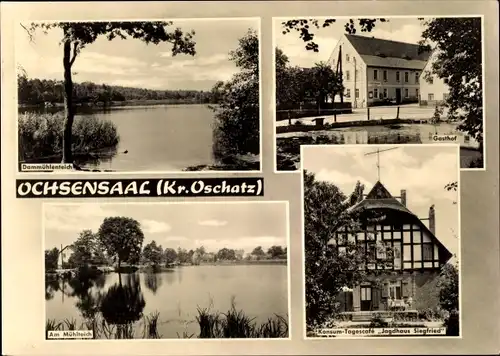 Ak Ochsensaal Dahlen in Sachsen, Dammmühlenteich, Gasthof, Jagdhaus Siegfried