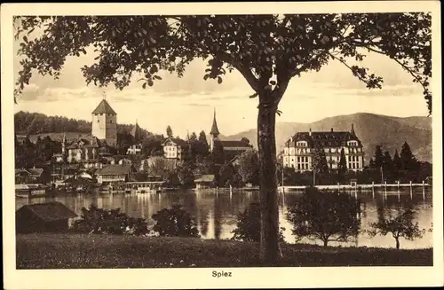 Ak Spiez Kt. Bern Schweiz, Blick zum Ort mit See, Schloss