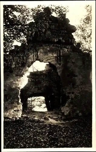 Ak Stráž pod Ralskem Wartenberg am Roll Region Reichenberg, Burg Dewin