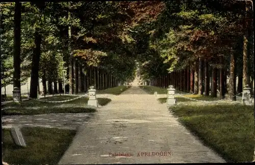 Ak Apeldoorn Gelderland, Paleislaan