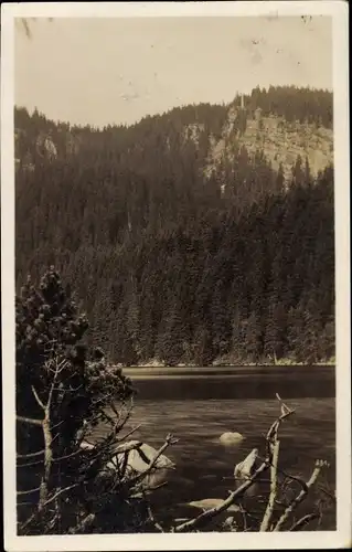 Ak Nová Pec Neuofen Südböhmen, Plešné jezero, Plöckensteinsee, Plöckensteiner See