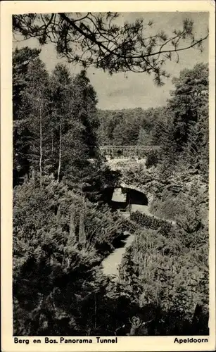 Ak Apeldoorn Gelderland, Berg en Bos. Panorama Tunnel