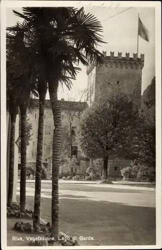 Ak Lago di Garda Lombardia, Riva, Vegetazione, Schloss