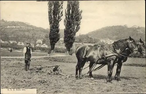 Ak Ungarn, Bauer mit Pferdepflug auf dem Feld