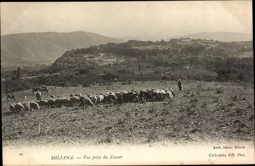 Ak Miliana Ain Defla Algerien, Vue prise du Zaccar